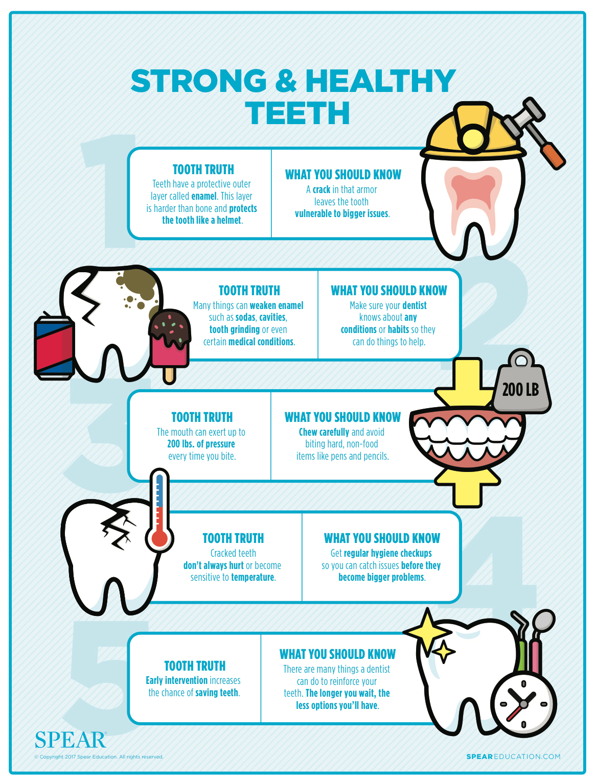 Strong and Healthy Teeth